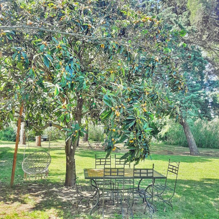Bed and Breakfast L'Escapade à Cazouls-d Herault Extérieur photo